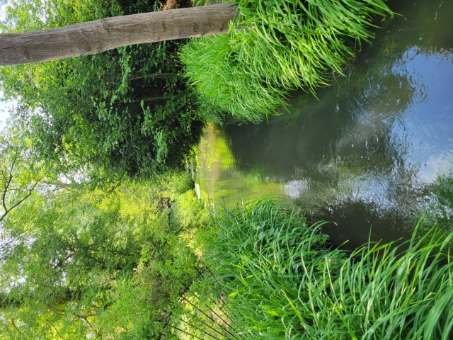 20220519_164152.jpg
